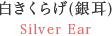 白きくらげ(銀耳)