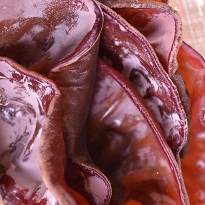 国産有機 あらげきくらげ フレッシュ 100g