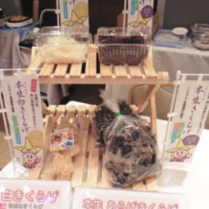 全日空ホテル様の商談会へ参加しました。